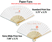 Custom Printed Paper Fans