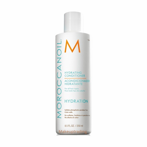 Hydrating Conditioner 8.5oz / 250ml