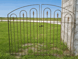 4t x 6w Woodson Entry Gate - Wrought Iron Center Divide