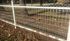 75' Rolls x 48" Tall Double Loop Galvanized Wire Fence