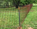 AIF Wrought Iron Fence Panel - 4 ft Tall