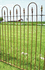 AIF Wrought Iron Fence Panel - 5 ft - Fence System