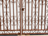 Decorative 5ft x 8ft Scottsdale Wrought Iron Double Driveway Gate