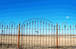 3' Tall Wrought Iron Fencing & Gates - Home