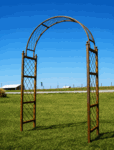 Wrought Iron Henry Wildwood Garden Arbor Trellis For Vines and Roses