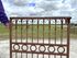3ft Tall Wrought Iron Magnolia Circle Garden Entry Gate