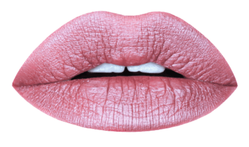 Aromi Beauty - Metallic Liquid Lipstick, Pixie Dust