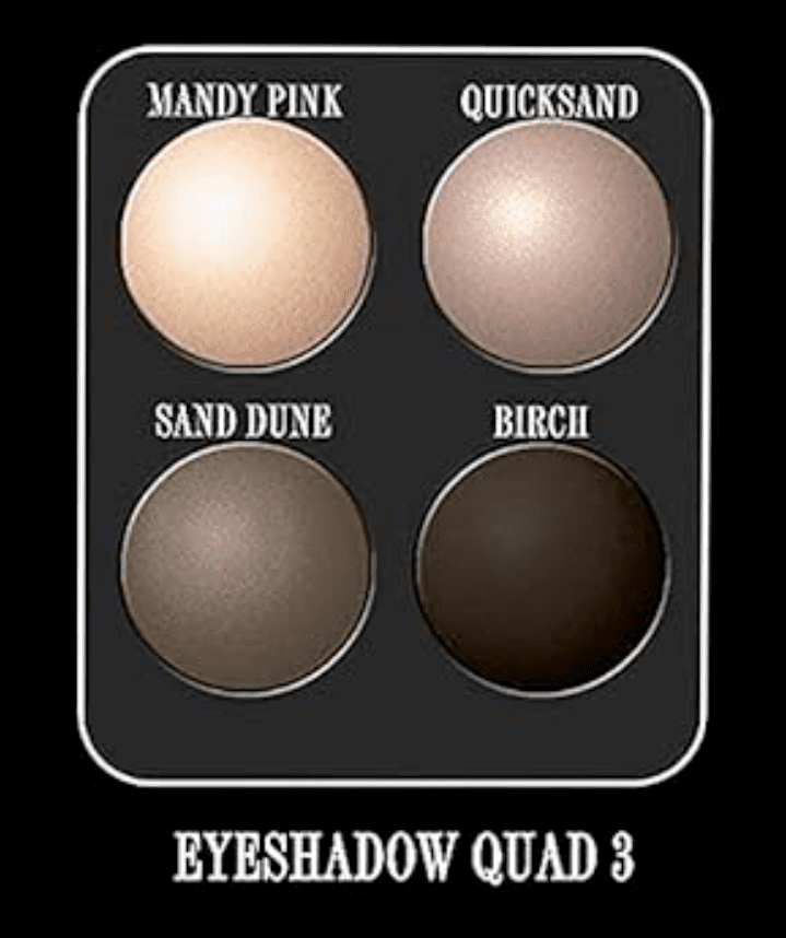 Artis Monograph Pressed Powder Eyeshadow - Compact Quad-3