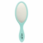 CALA Wet N Dry Hair Brush (Mint) (66715)