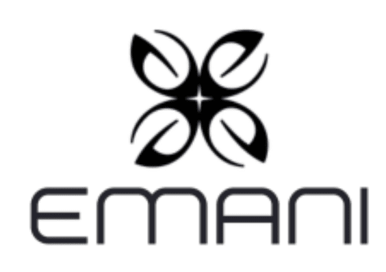 EMANI Vegan Cosmetics Eyeshadow Pallet - Feeling Blessed 445