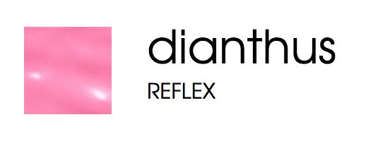 FACE atelier Lip Glaze - Dianthus 0.5 fl oz/15 ml