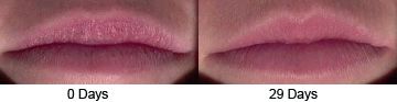 Gale Hayman Beverly Hills Cosmetics Lip Lift  (10600), 0.09oz/(2.6g)