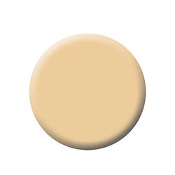 Kett Fixx Creme Compact (N2) - Neutral shade