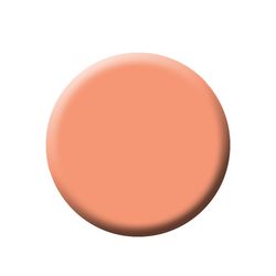 Kett Fixx Creme Corrector REFILL - CC-Medium pan