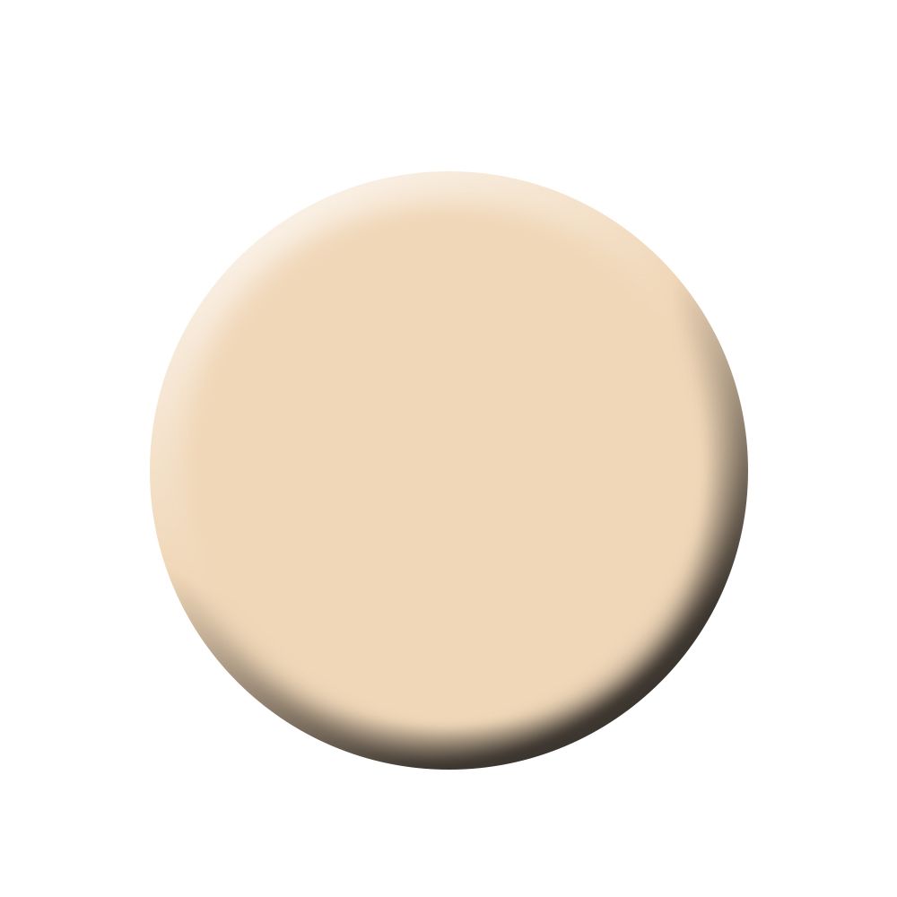 Kett Fixx Creme Neutral Series Pan (REFILL) FIXX N1