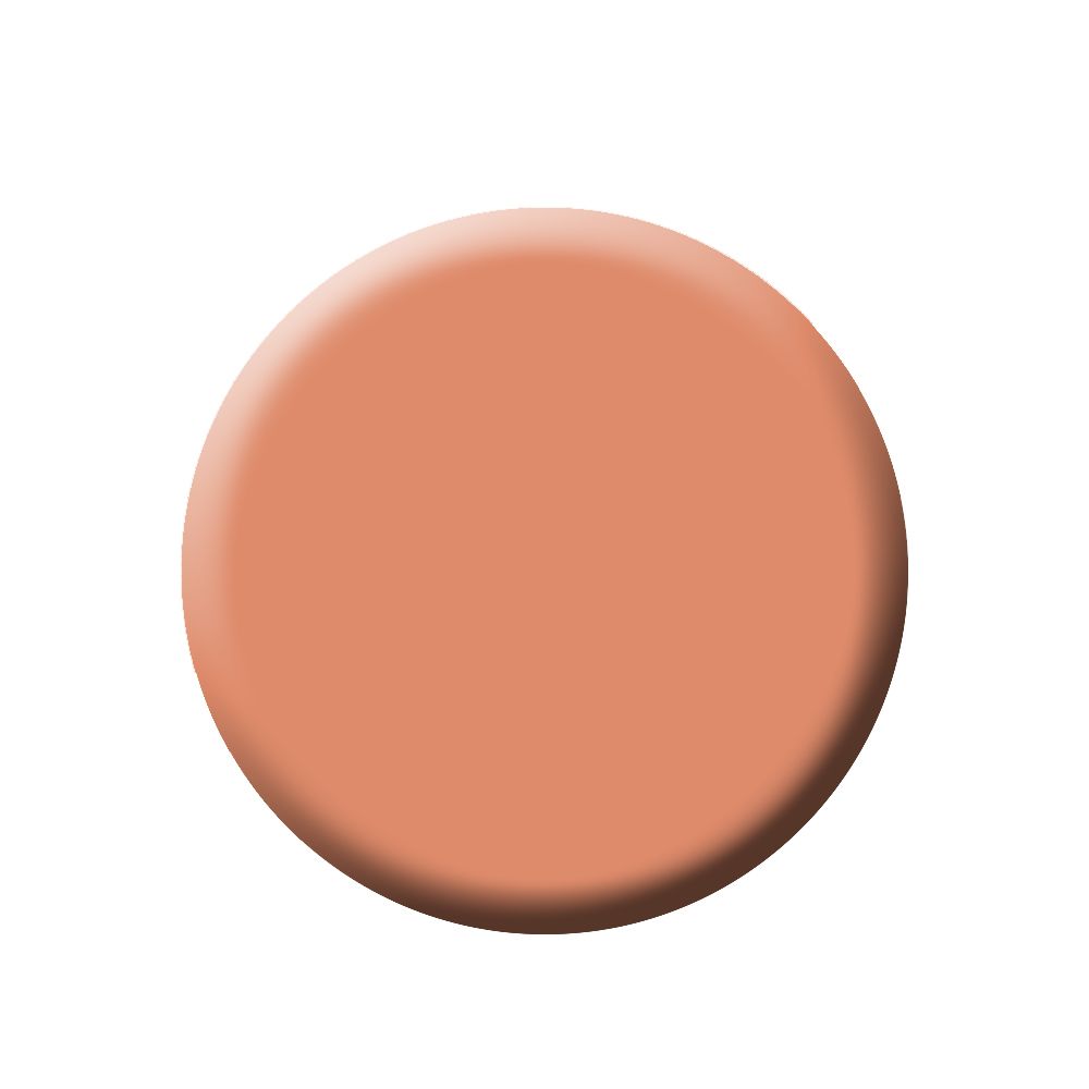 Kett Fixx Creme Ruby Series Pan (REFILL) FIXX R5