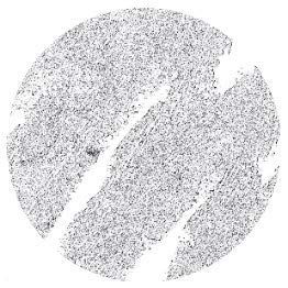 Mirabella Beauty Retractable Eye Definer Pencil - Frost