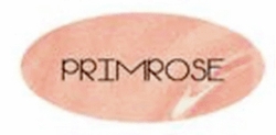 Nardo's Natural Lip Gloss, Primrose
