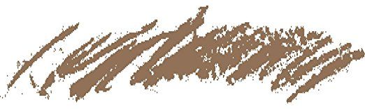 PRESTIGE COSMETICS Ultimate Brow Definer - Ash Blond (BU-00)