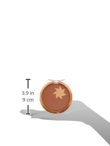 PRESTIGE SunFlower Illuminating Bronzing Powder - Terra (BPL-11) 