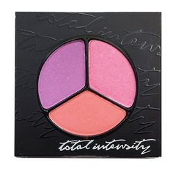 PRESTIGE Total Intensity Totally Matte Eyeshadow Trio, Off Beat