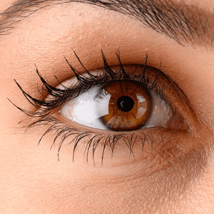 Red Apple Lipstick, Mascara - The Lash Project V.02, Brown