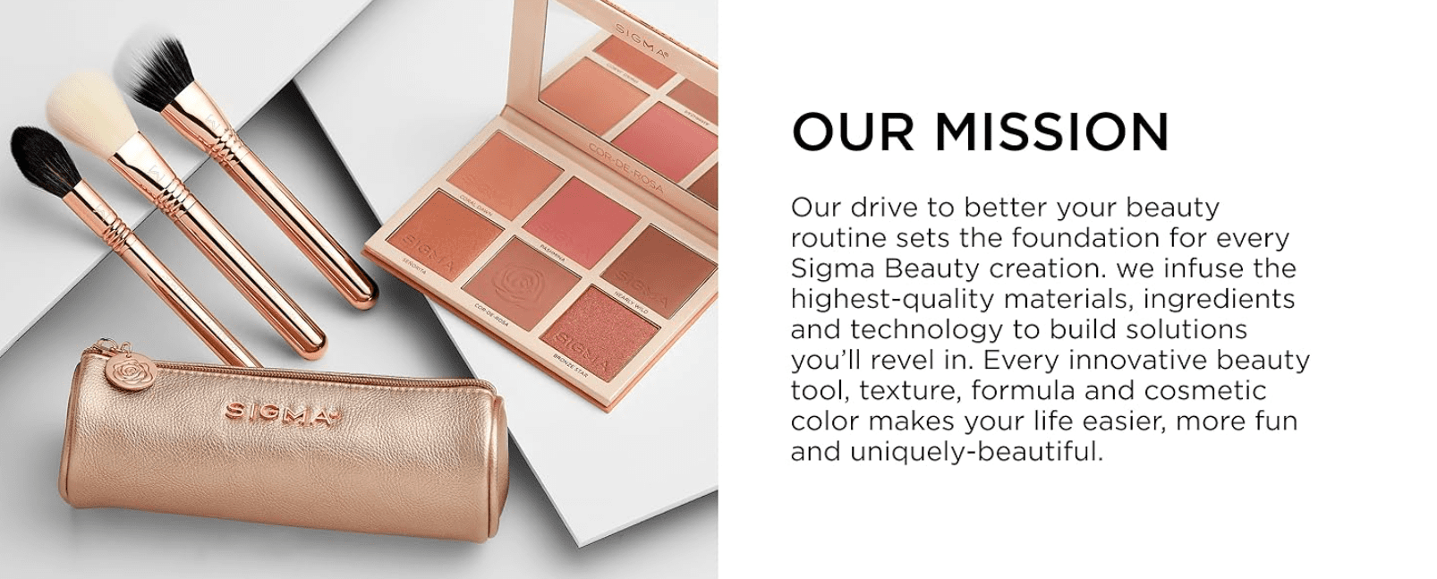 Sigma Beauty Diffused Blend Brush (E24)