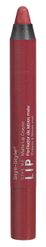 Styli-Style Make It Matte - Creamy Matte Lip Crayon - Red with a Twist