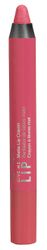 Styli-Style Cosmetics Make It Matte - Creamy Matte Lip Crayon - Wild Side