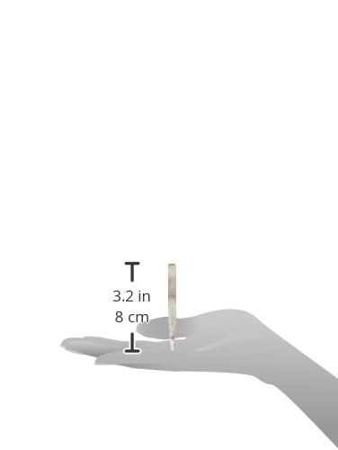 Tweezerman Stainless Steel Slant Tweezer Classic (Silver)