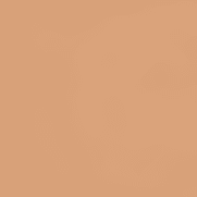 Zao Makeup Concealer Organic & Vegan - Dark Brown 494