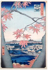 100 Views of Edo # 94 Deluxe Edition by Ando Hiroshige