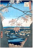 100 Views of Edo # 94 Deluxe Edition by Ando Hiroshige