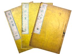 100 Views of Mt Fuji by Hokusai (3 Volume Set)