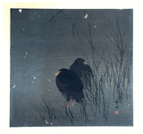 2 Coots by Koson Ohara