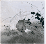 Bindweed, Pigeon and Dove by Tsukioka Kogyo