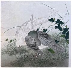Bindweed, Pigeon and Dove by Tsukioka Kogyo