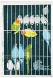 Bird Cage by Shiro Kasamatsu 1st Ed.