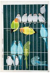 Bird Cage by Shiro Kasamatsu 1st Ed.