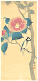 Japanese Bunting on Camellia by Ohara Koson