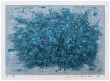 Blue Thicket by Joichi Hoshi