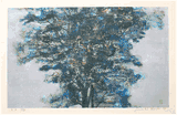 Blue Trees by Joichi Hoshi