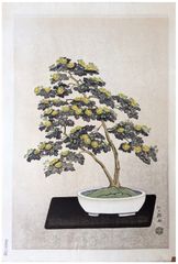 Bonsai Chrysanthemum by Ito Nisaburo 