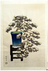 Bonsai Chrysanthemum by Ito Nisaburo