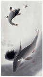 Carps and Bee by Ohara Koson