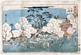 Cherry Blossom in Full Bloom at Ueno Park by Ando Hiroshige