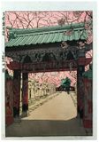 Cherry Blossoms at Ueno by Paul Binnie