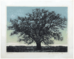 Dawn by Joichi Hoshi