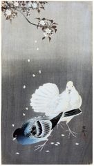 Dove and Pigeon by Ohara Koson