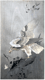 Eagle with Outspread Wings by Ohara Koson 